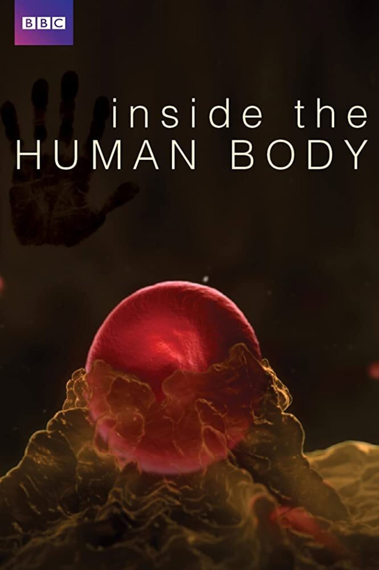 Inside the Human Body preview 2