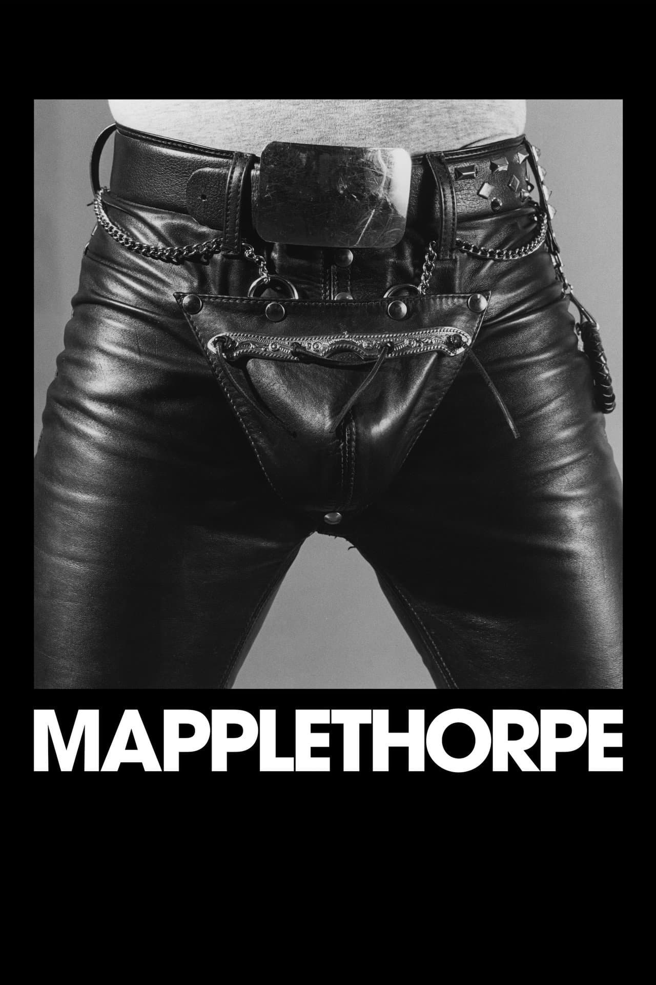 Mapplethorpe preview 2
