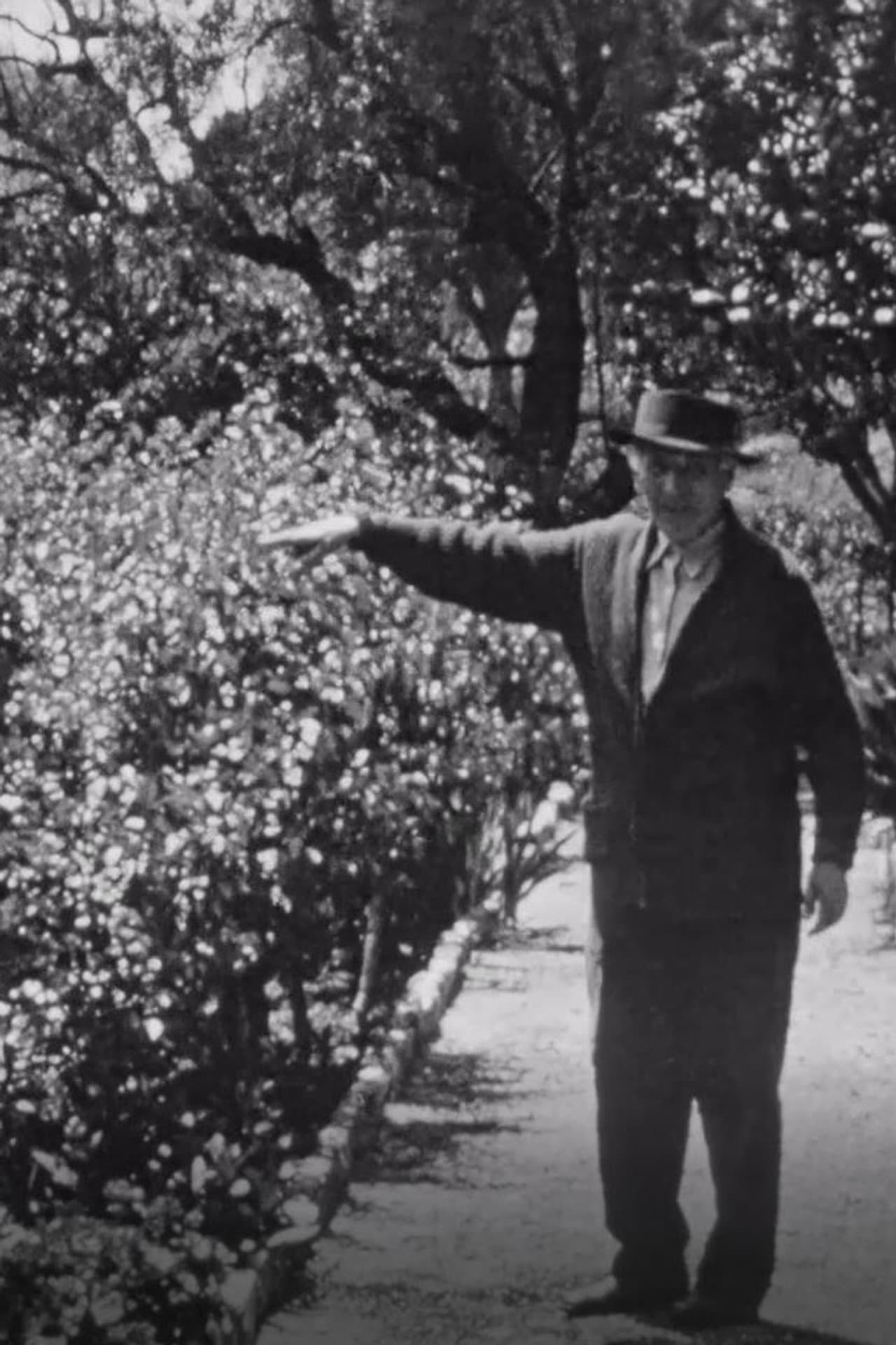 Chagall dans son jardin a Saint-Paul-de-Vence preview 1