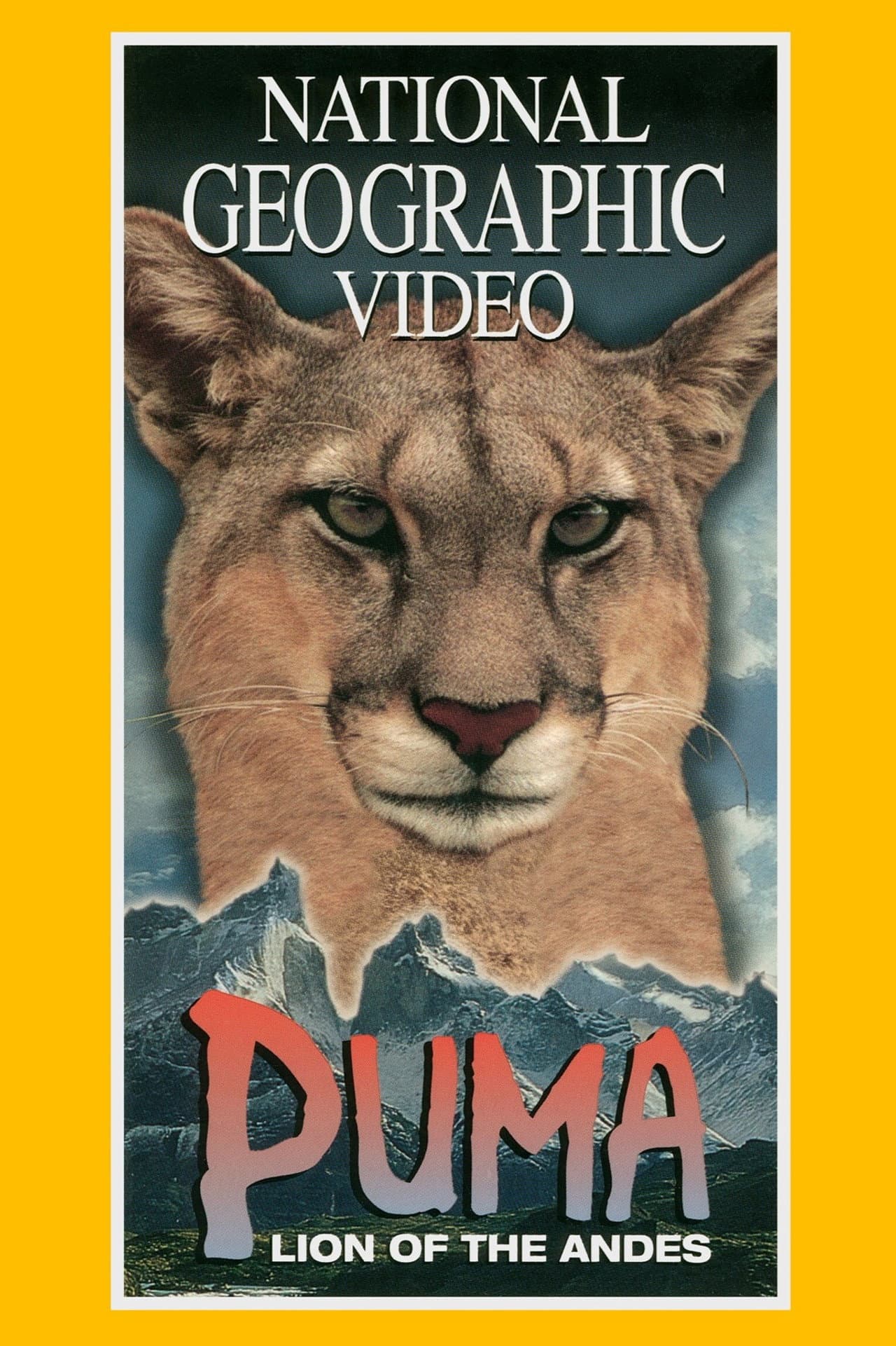 Puma: Lion of the Andes preview 2