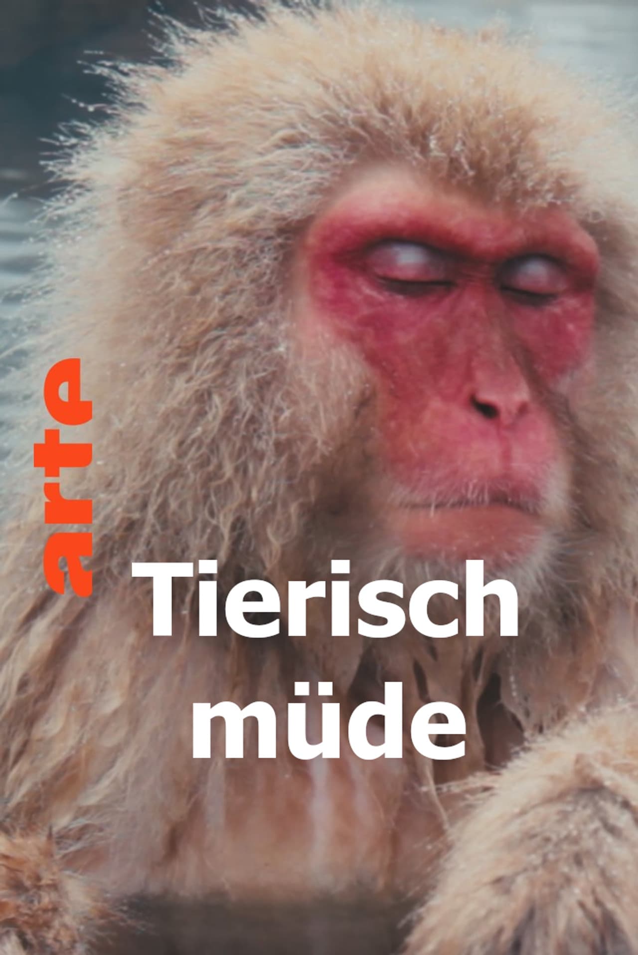 Tierisch müde - Das Rätsel Schlaf preview 2