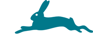 Bildersturm Filmproduktion GmbH
