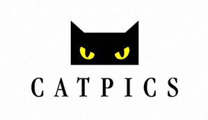 Catpics AG