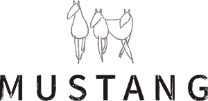 Mustang Productions