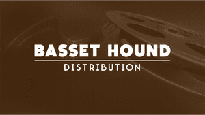 Basset Hound Distribution