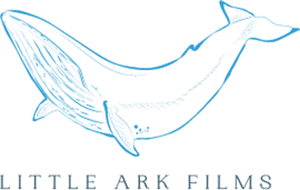 Little Ark Films