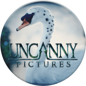 Uncanny Pictures