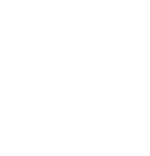 Zwart Arbeid
