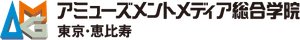 Amusement Media Academy