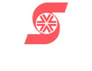 Salon Films