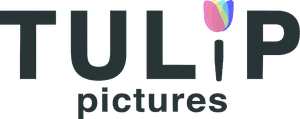 Tulip Pictures