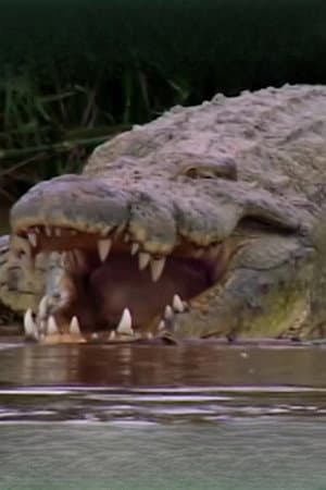 Gustave the Crocodile
