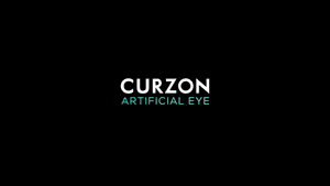 Artificial Eye Film Company