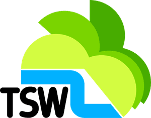 Television South West