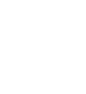 Fidelio