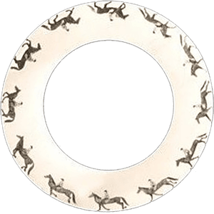 36 Caballos