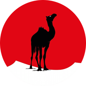 Black Camel Pictures