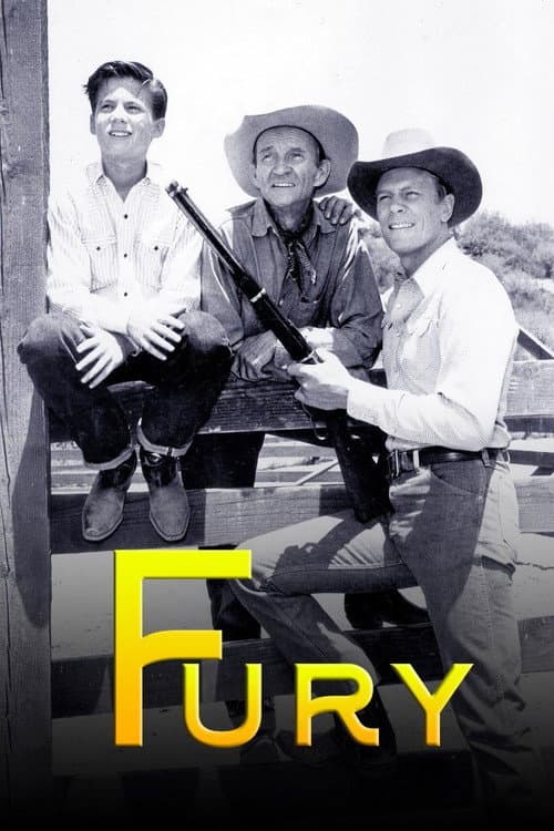 Fury