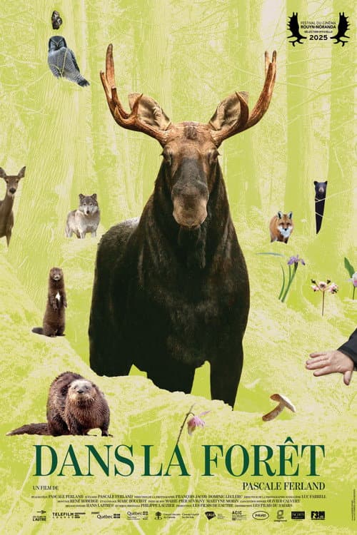 In the Forest