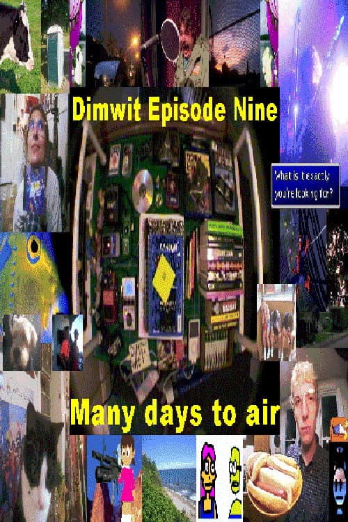 Dimwit Episode Nine