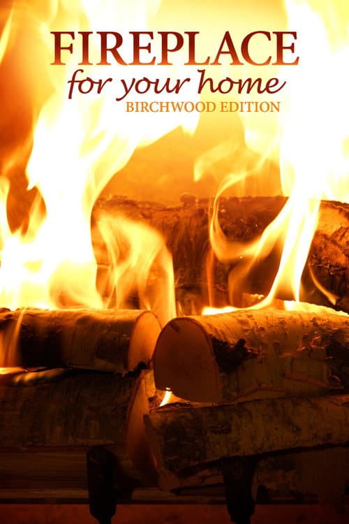 Fireplace for Your Home Crackling Birchwood