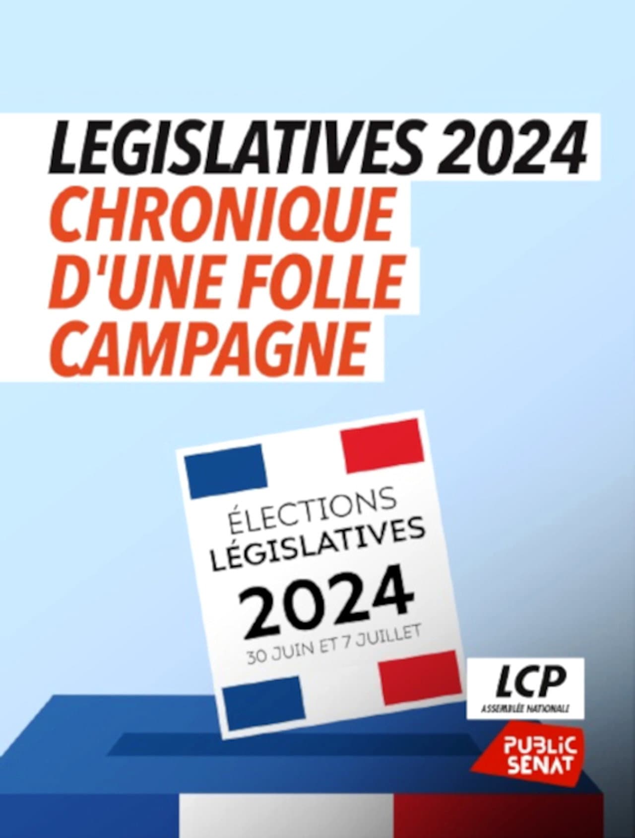 Législatives 2024 : chronique d'une folle campagne preview 1
