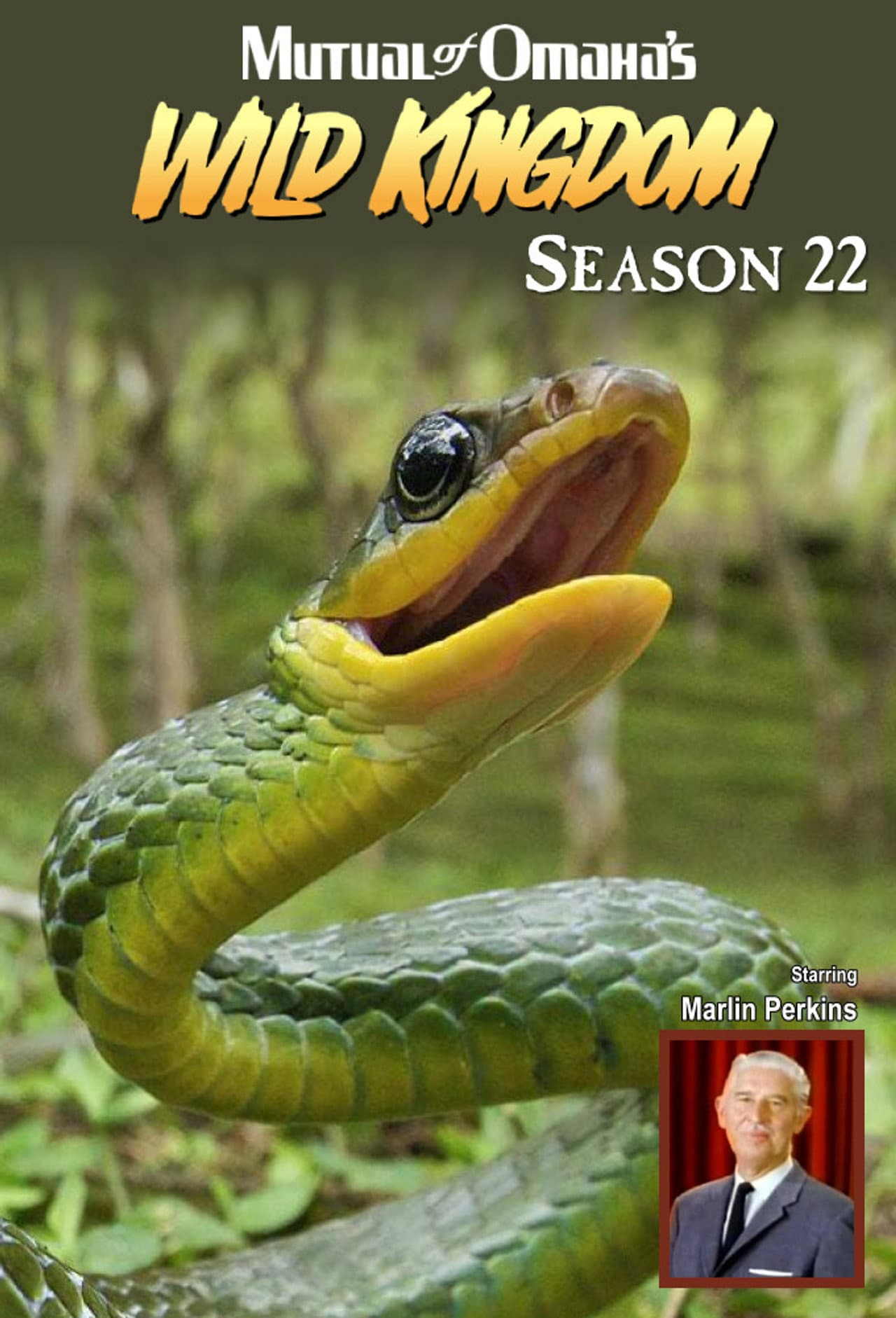Season 22