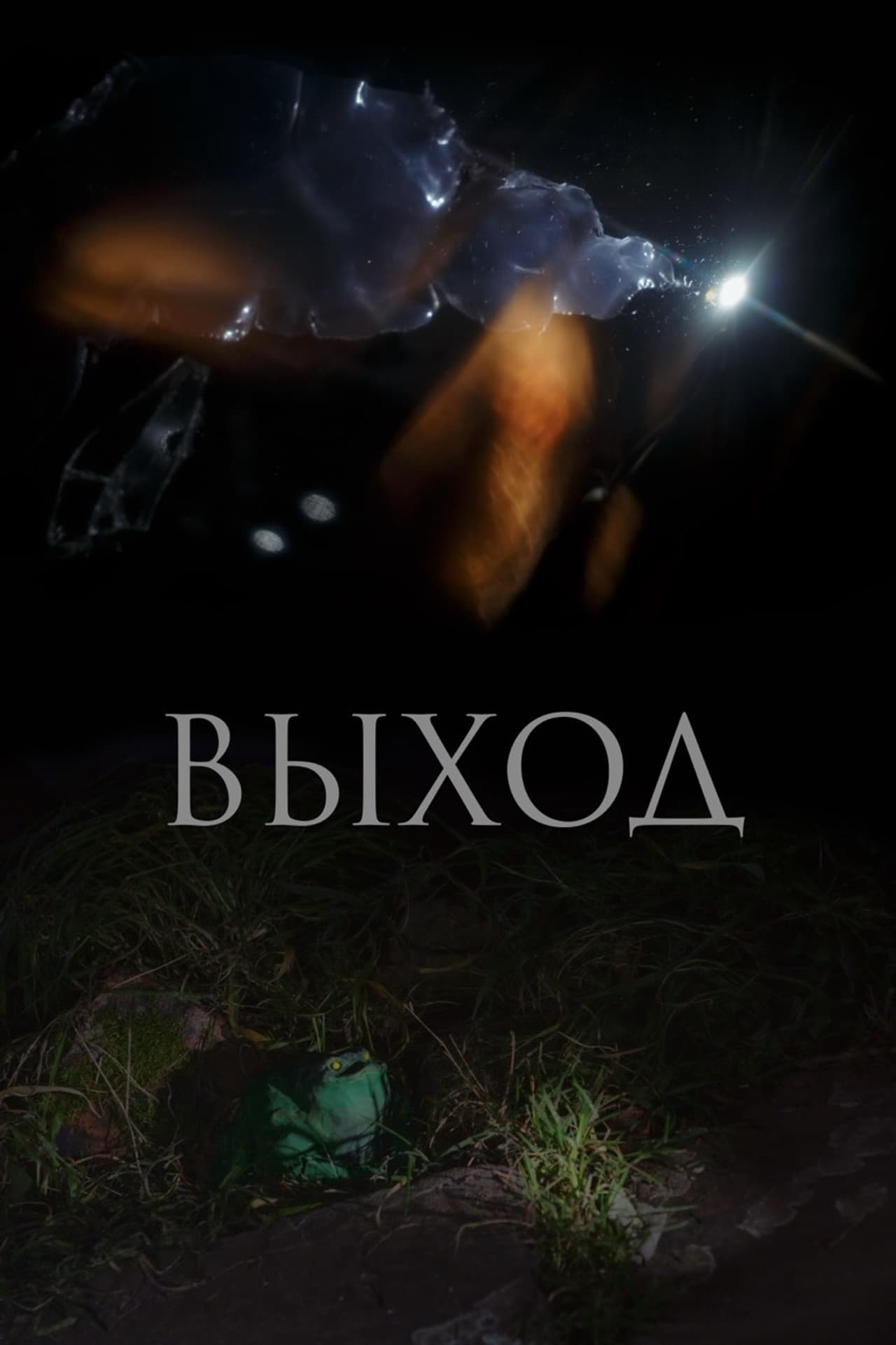 Exit preview 1