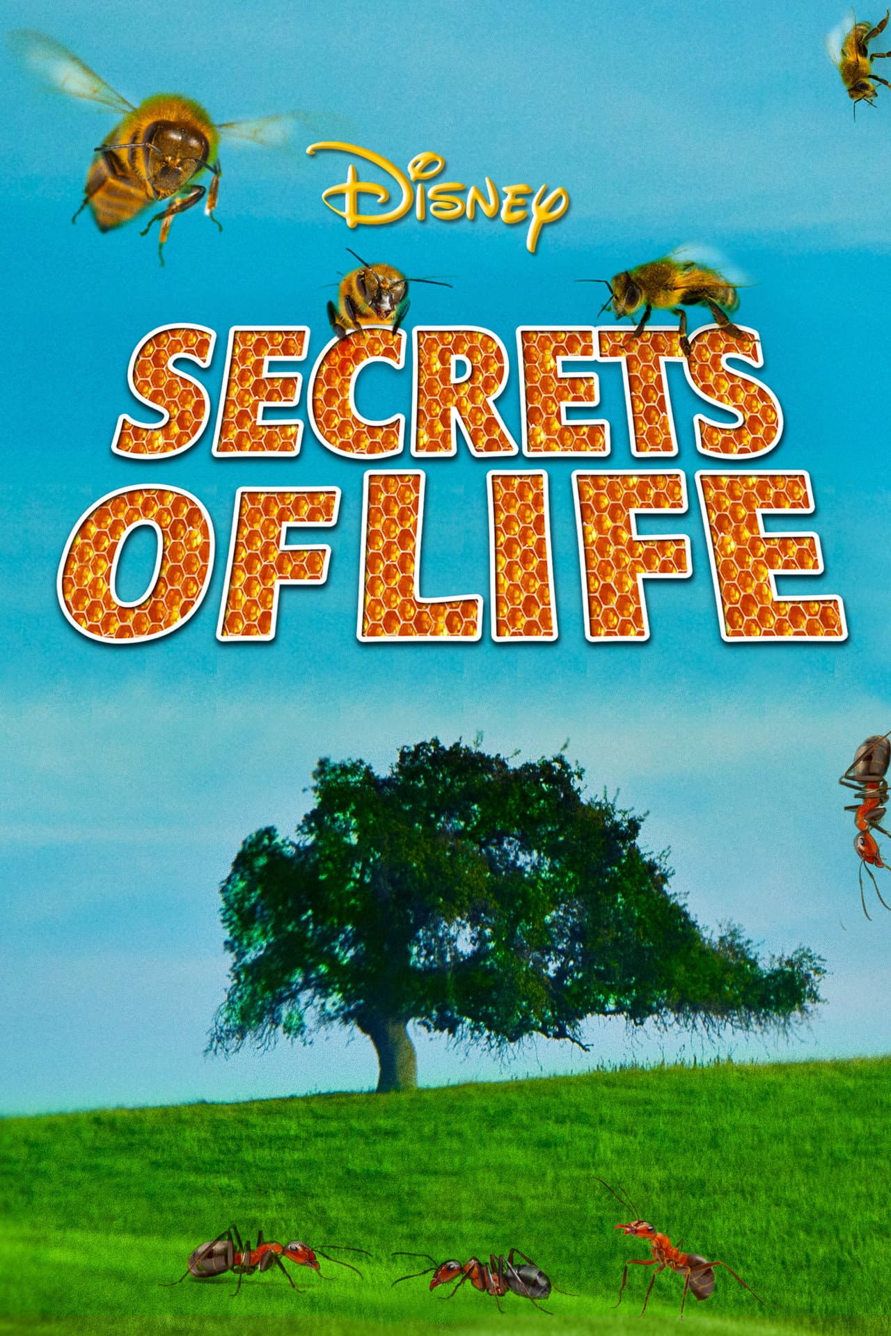 Secrets of Life preview 2