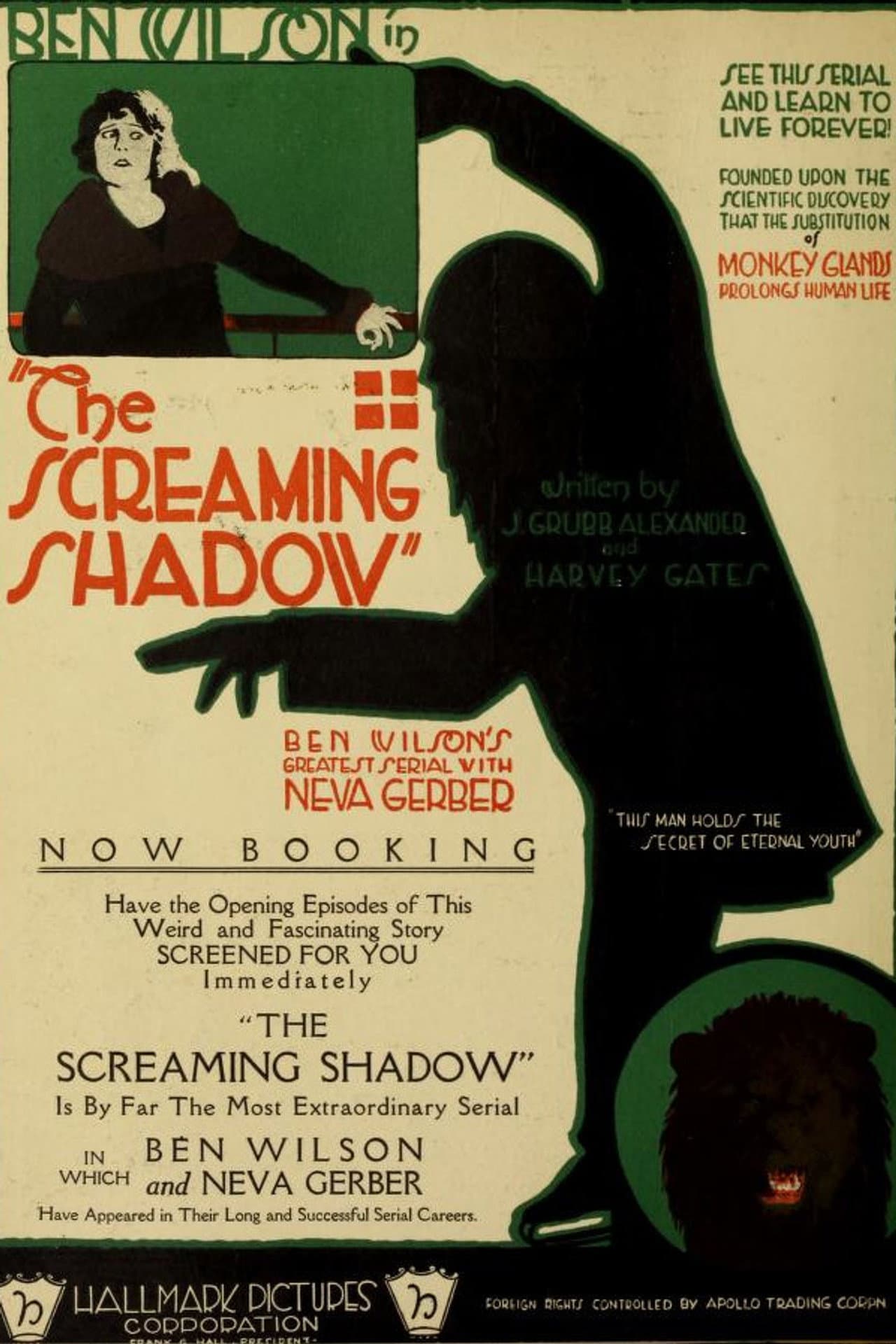 The Screaming Shadow preview 2