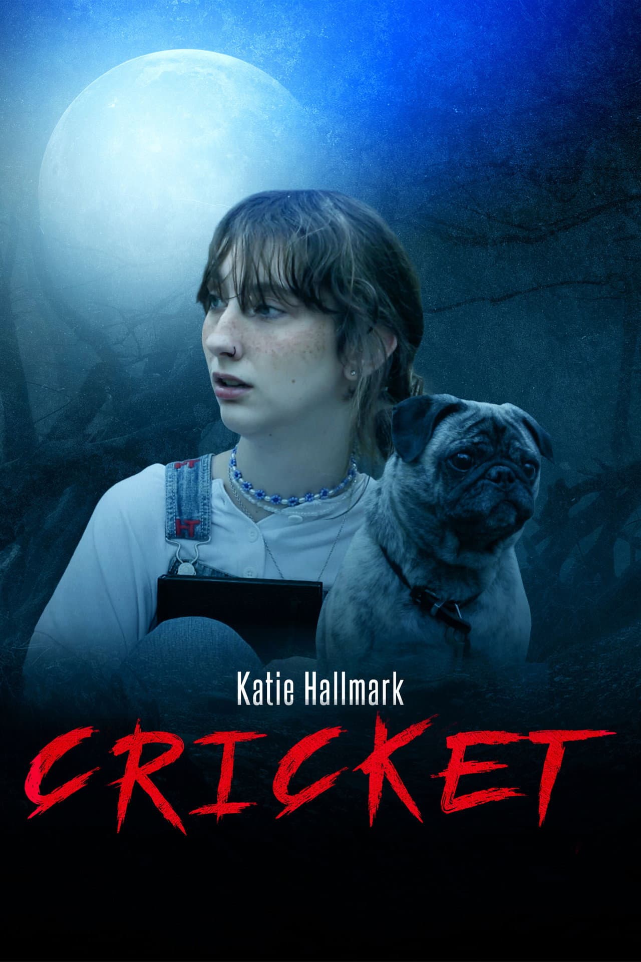 CRICKET preview 1