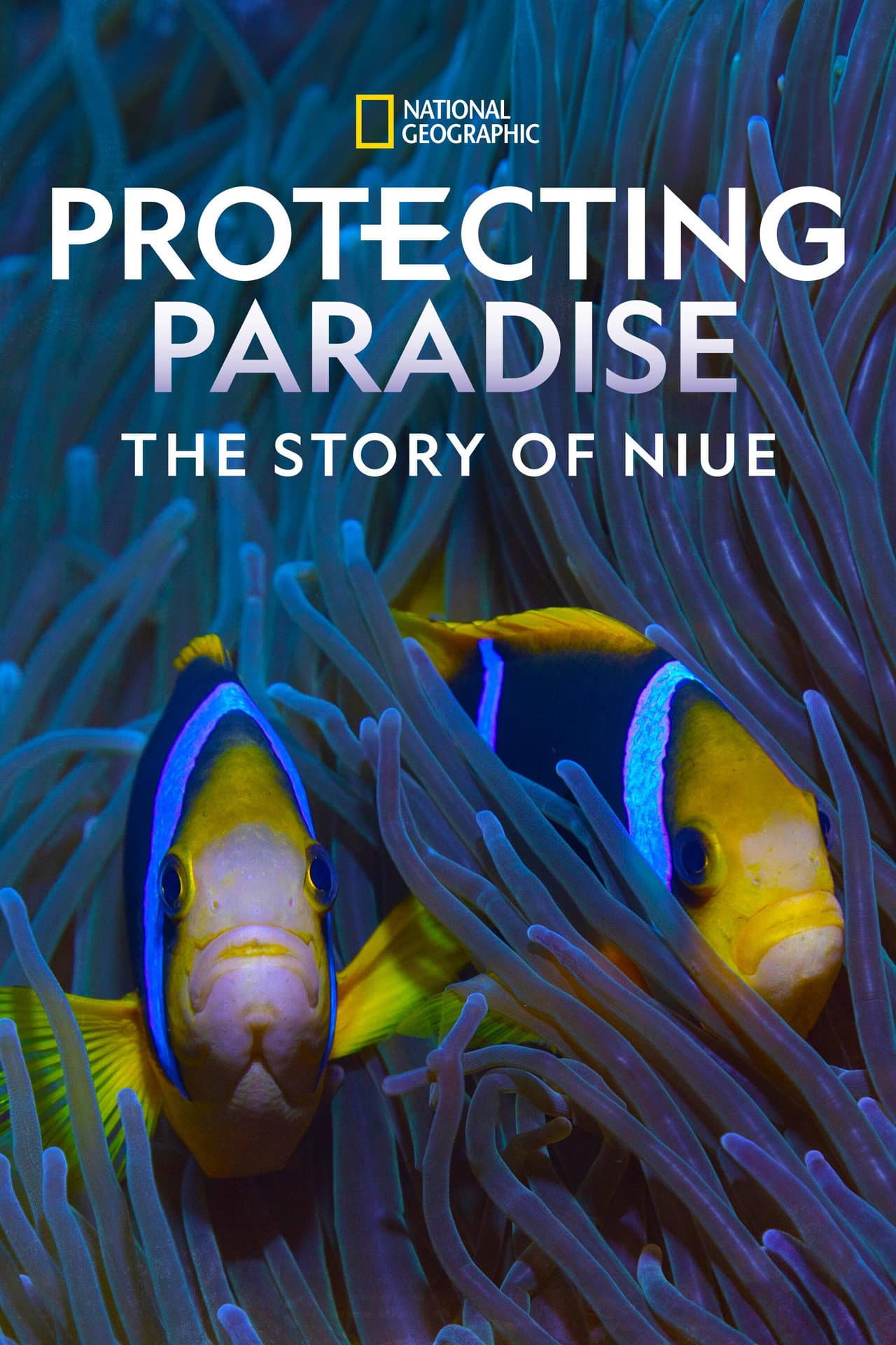 Protecting Paradise: The Story of Niue preview 2