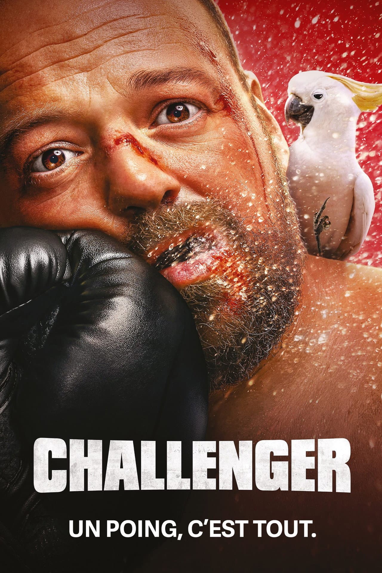 Challenger preview 2