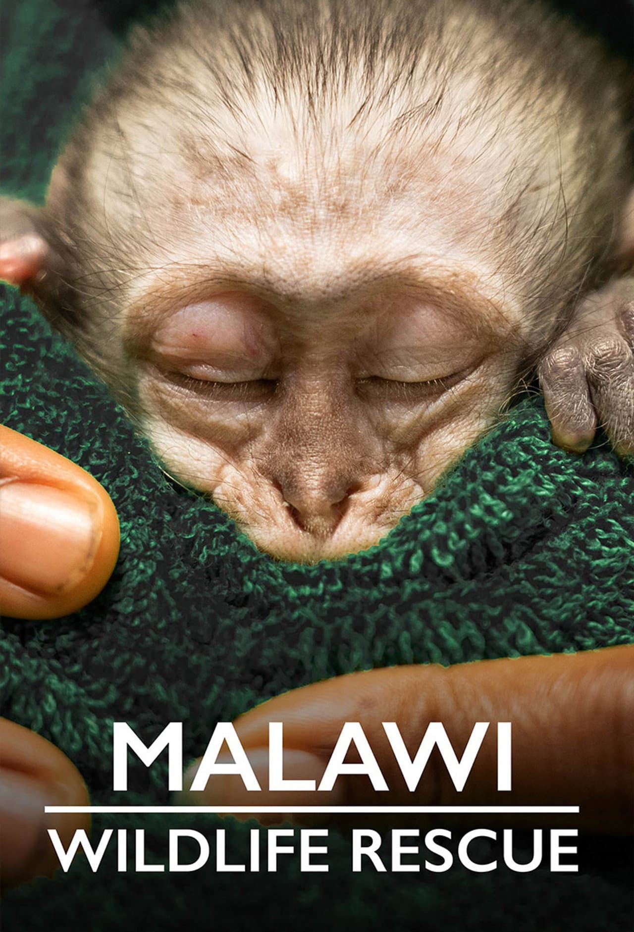 Malawi Wildlife Rescue preview 2