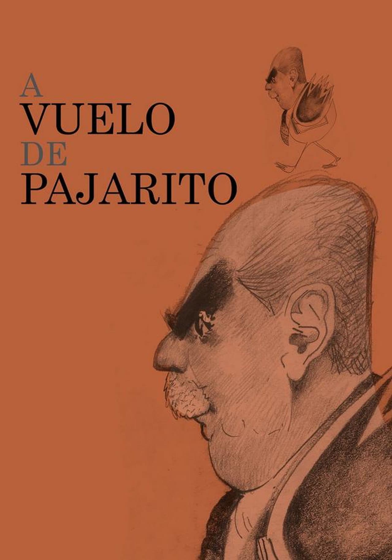 A vuelo de pajarito preview 1