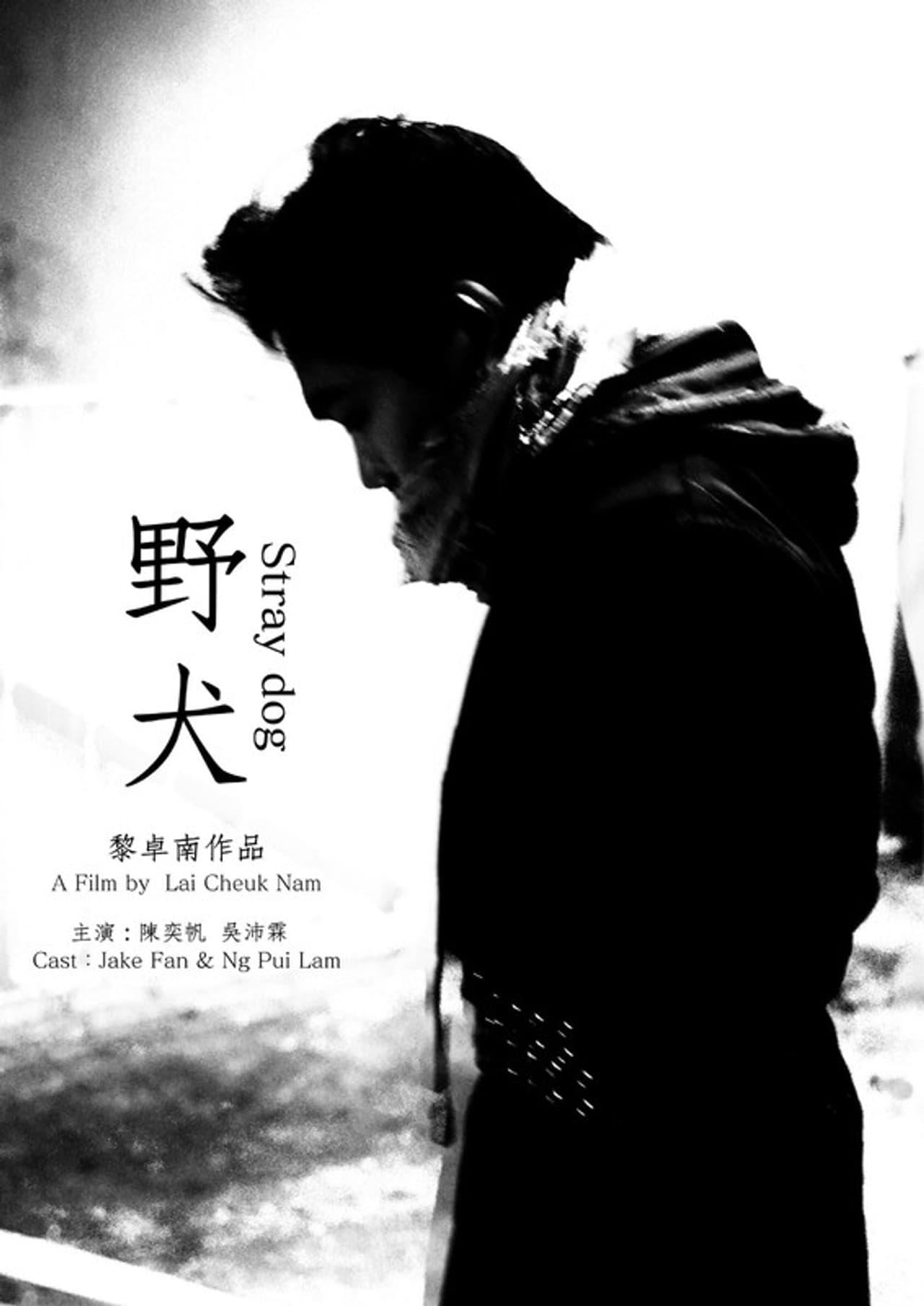 Stray dog preview 2
