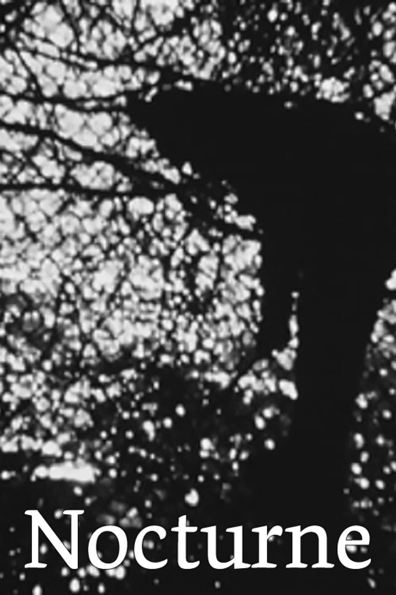 Nocturne preview 2