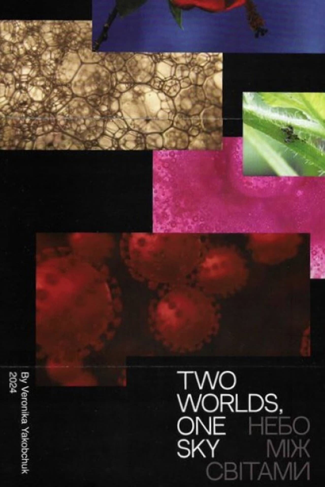 Two Worlds, One Sky preview 1