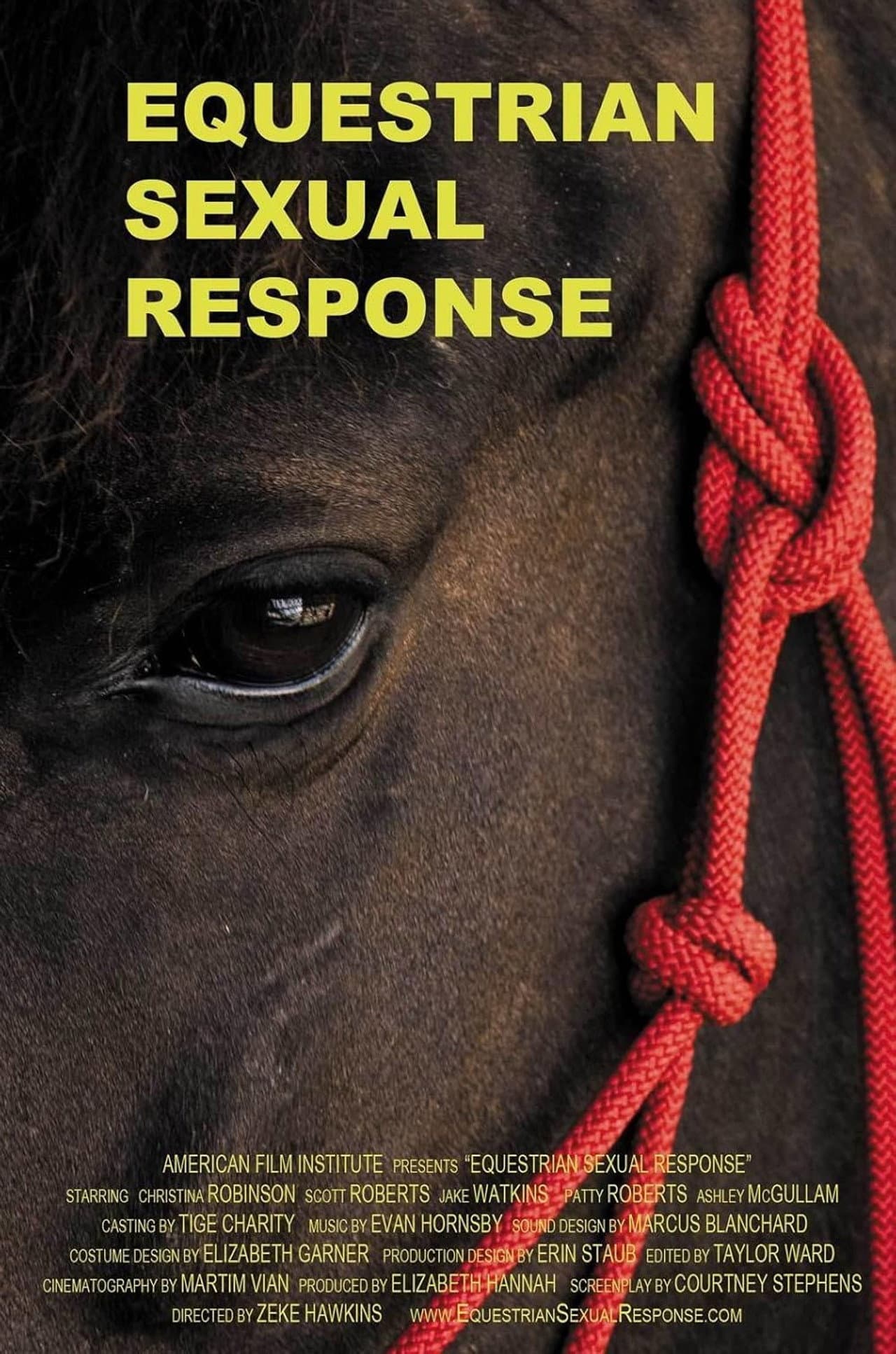 Equestrian Sexual Response preview 2