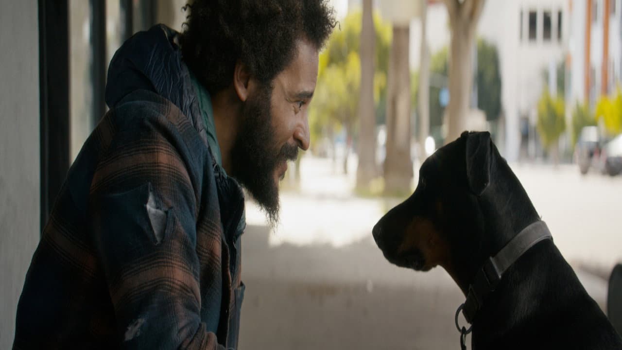 Rescued