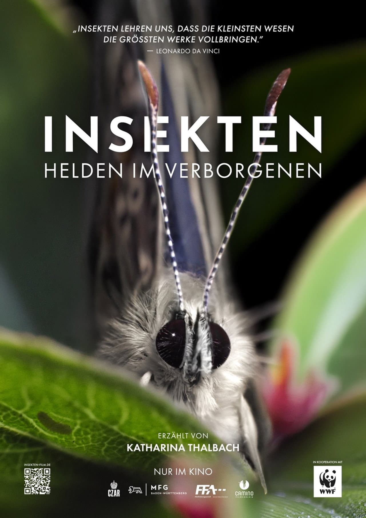 Insects – Hidden Heroes preview 2