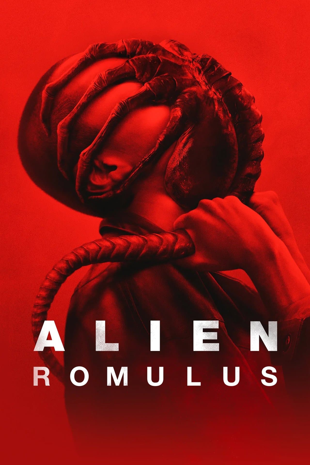 Alien: Romulus preview 2