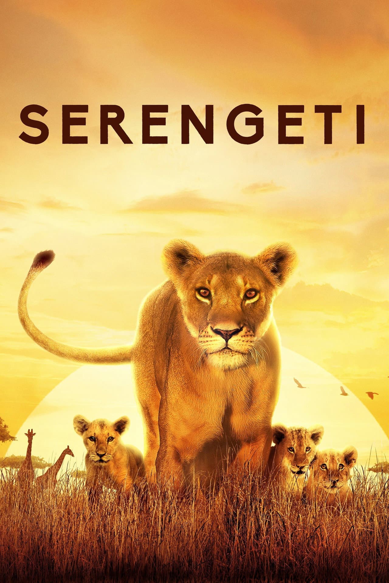 Serengeti preview 2