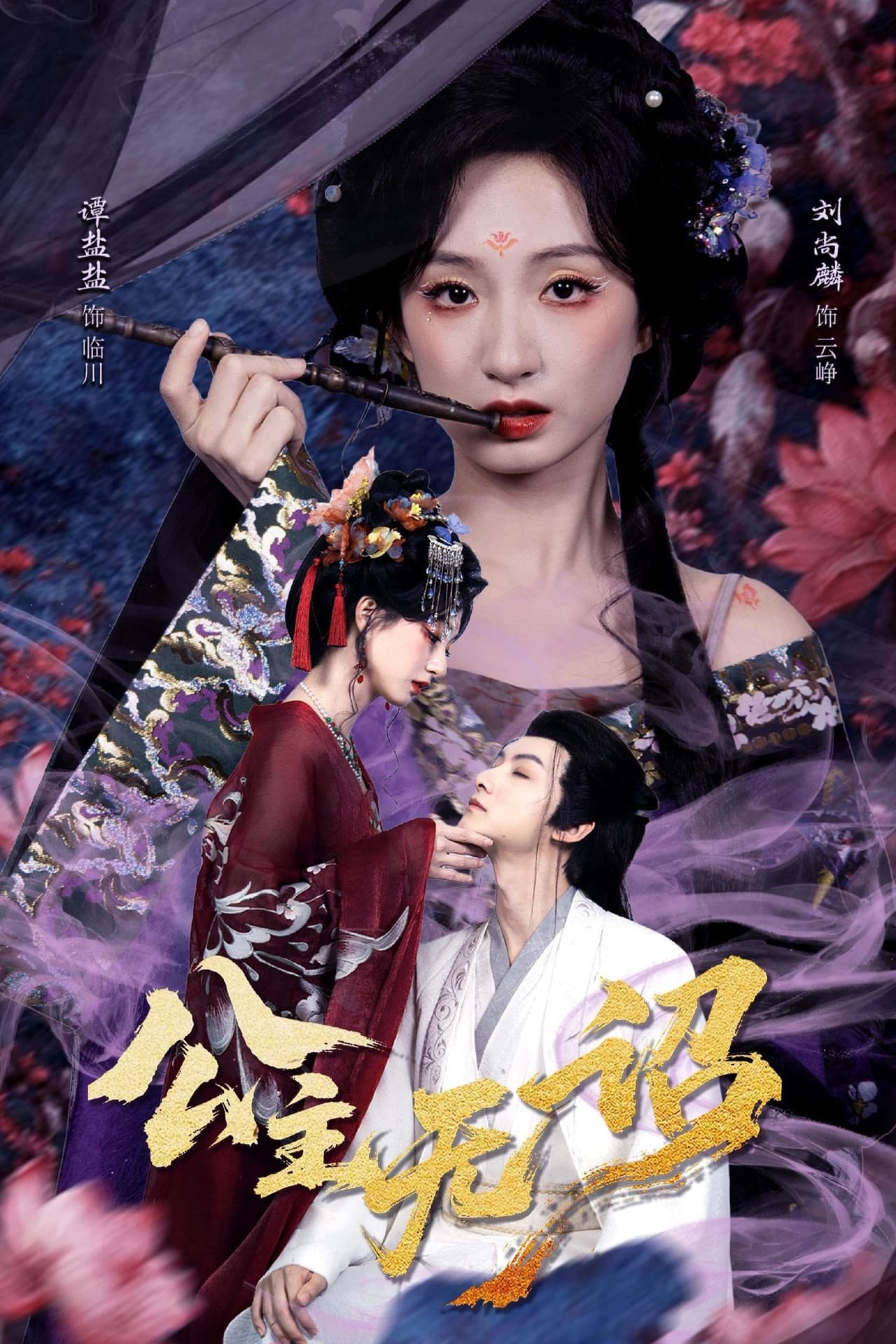 公主无诏 preview 2