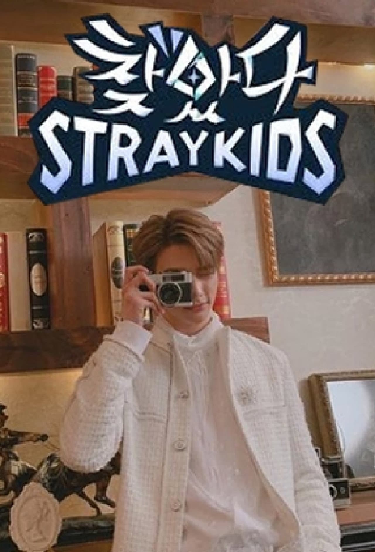 Stray Kids: Finding SKZ preview 2