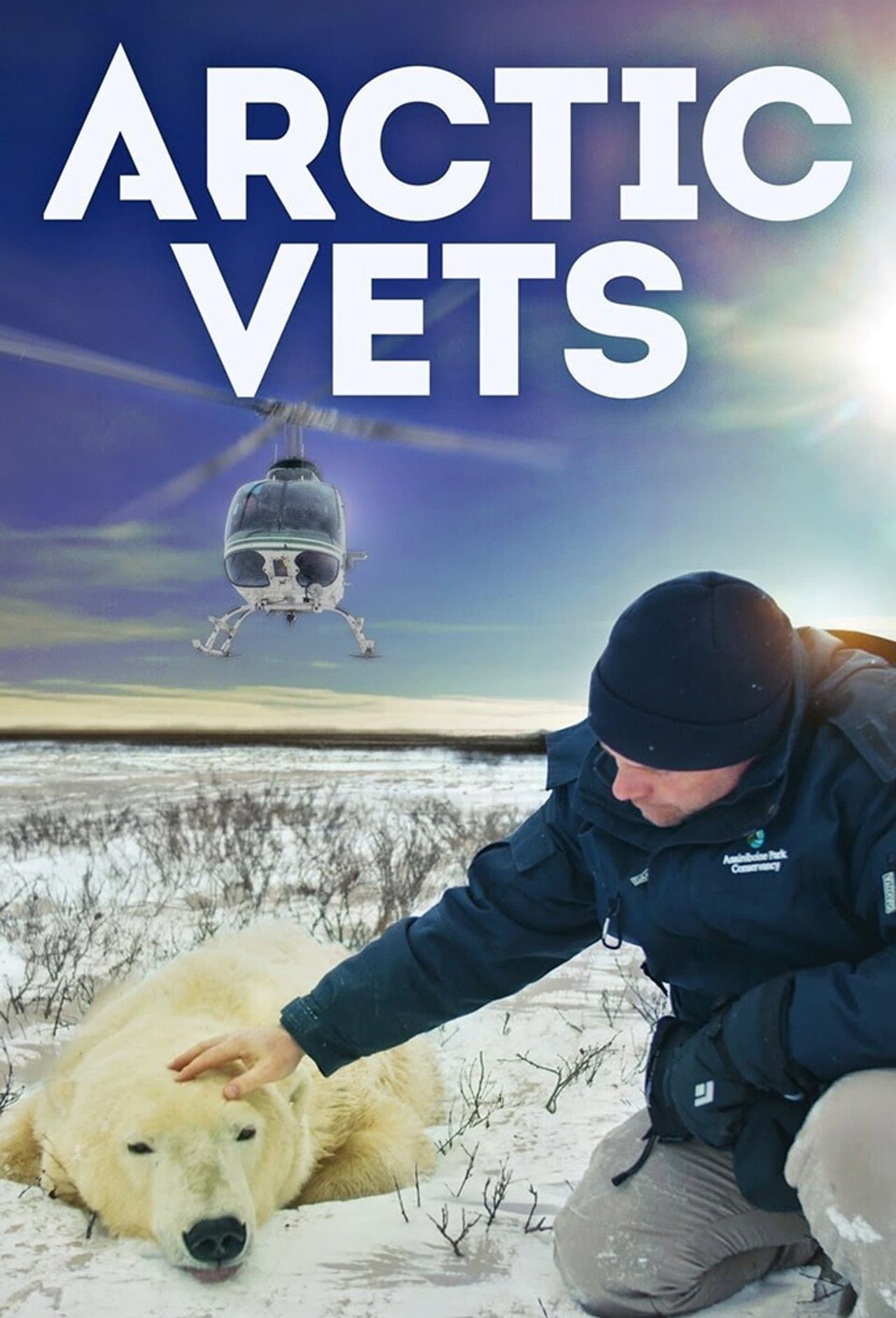 Arctic Vets preview 2