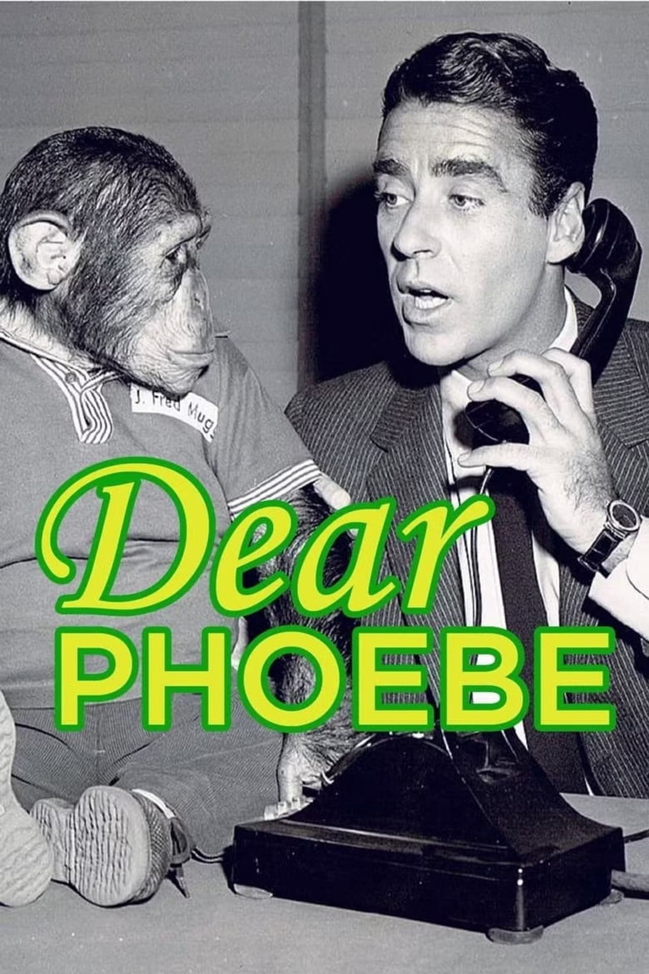 Dear Phoebe preview 1