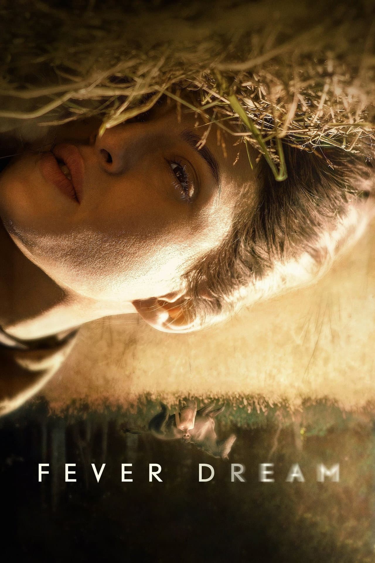 Fever Dream preview 2