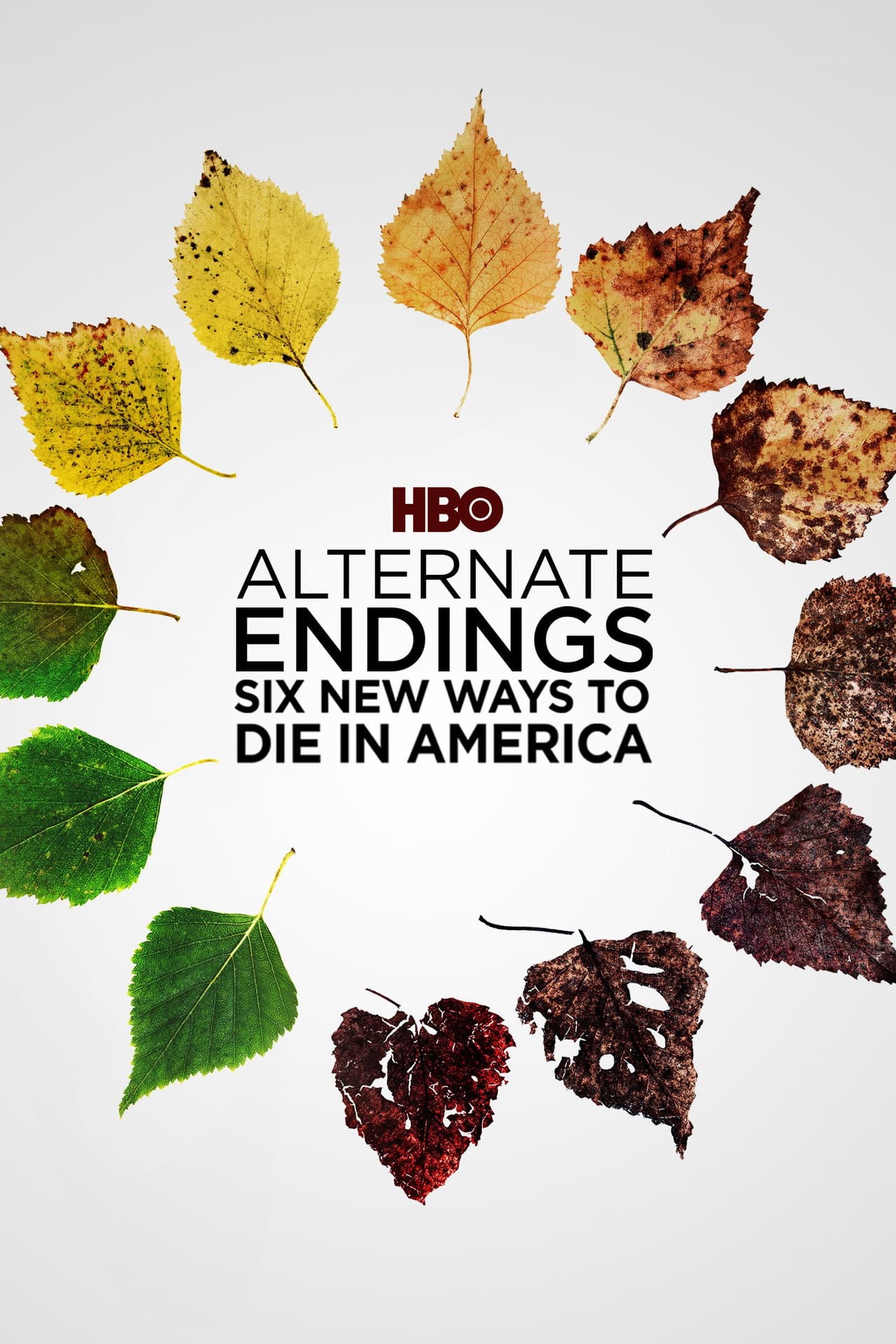 Alternate Endings: Six New Ways to Die in America preview 2