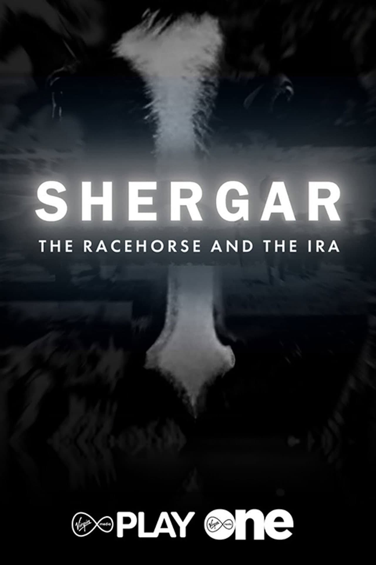 Shergar: The Racehorse and the IRA preview 1